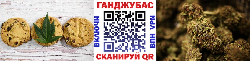 сколько стоит  mega ONION  Еда ТГК конопля  Купино 
