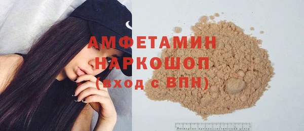 индика Няндома