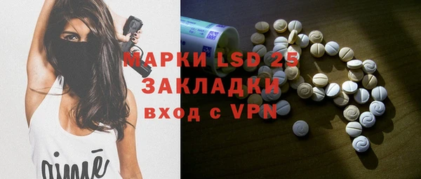 хмурый Белокуриха