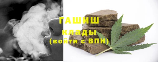 хмурый Белокуриха