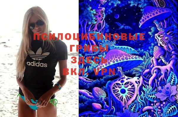 хмурый Белокуриха