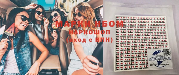 хмурый Белокуриха