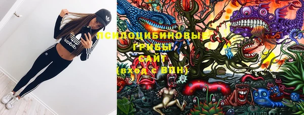 соль ск Белоозёрский