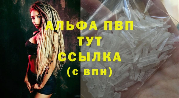 хмурый Белокуриха